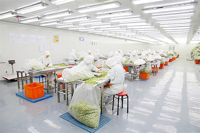 西安凈化工程廠家淺談生物實驗室工程設計要求有哪些？